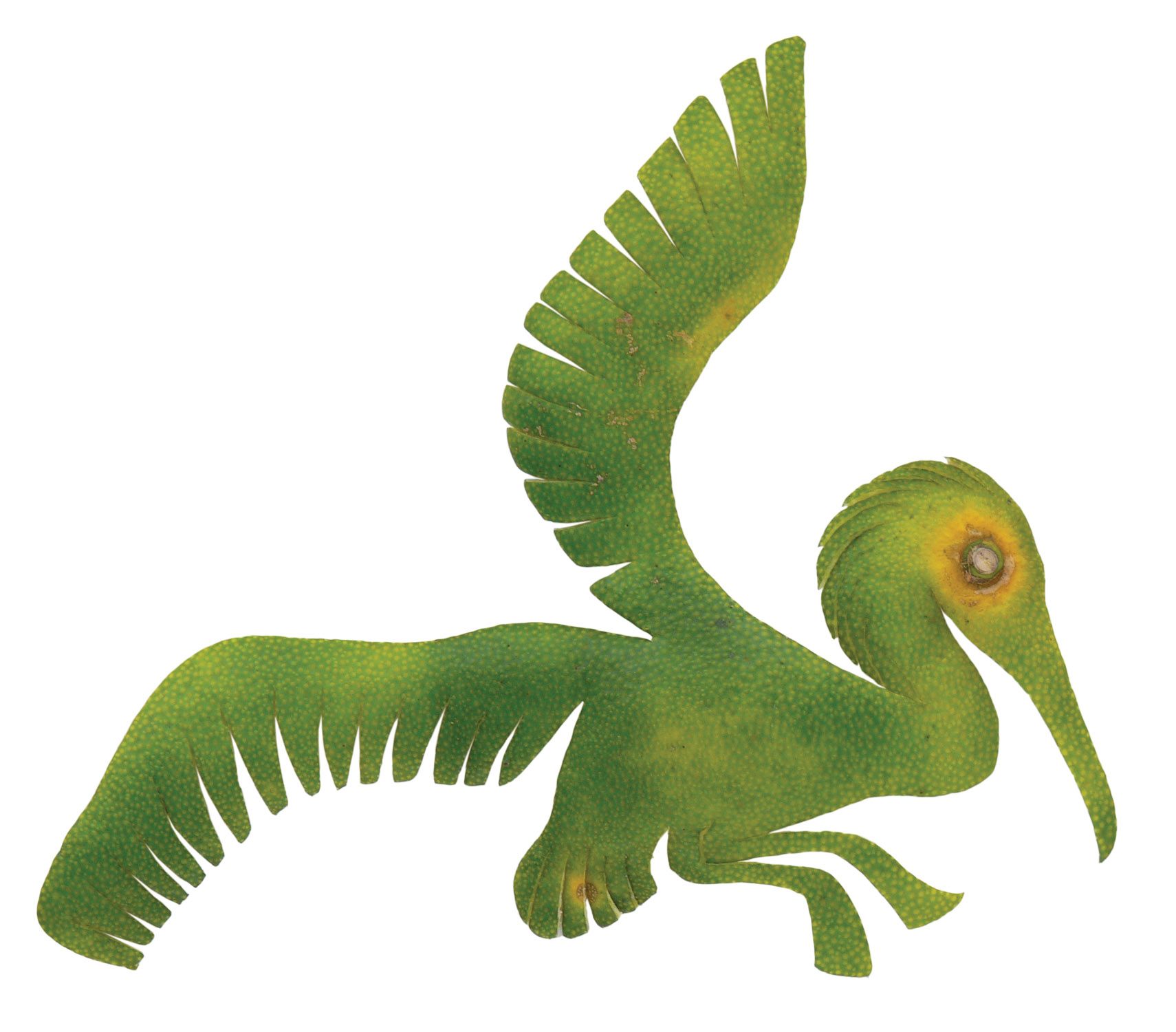 Okada's rendition of a <em>toki</em>, or Japanese crested ibis.