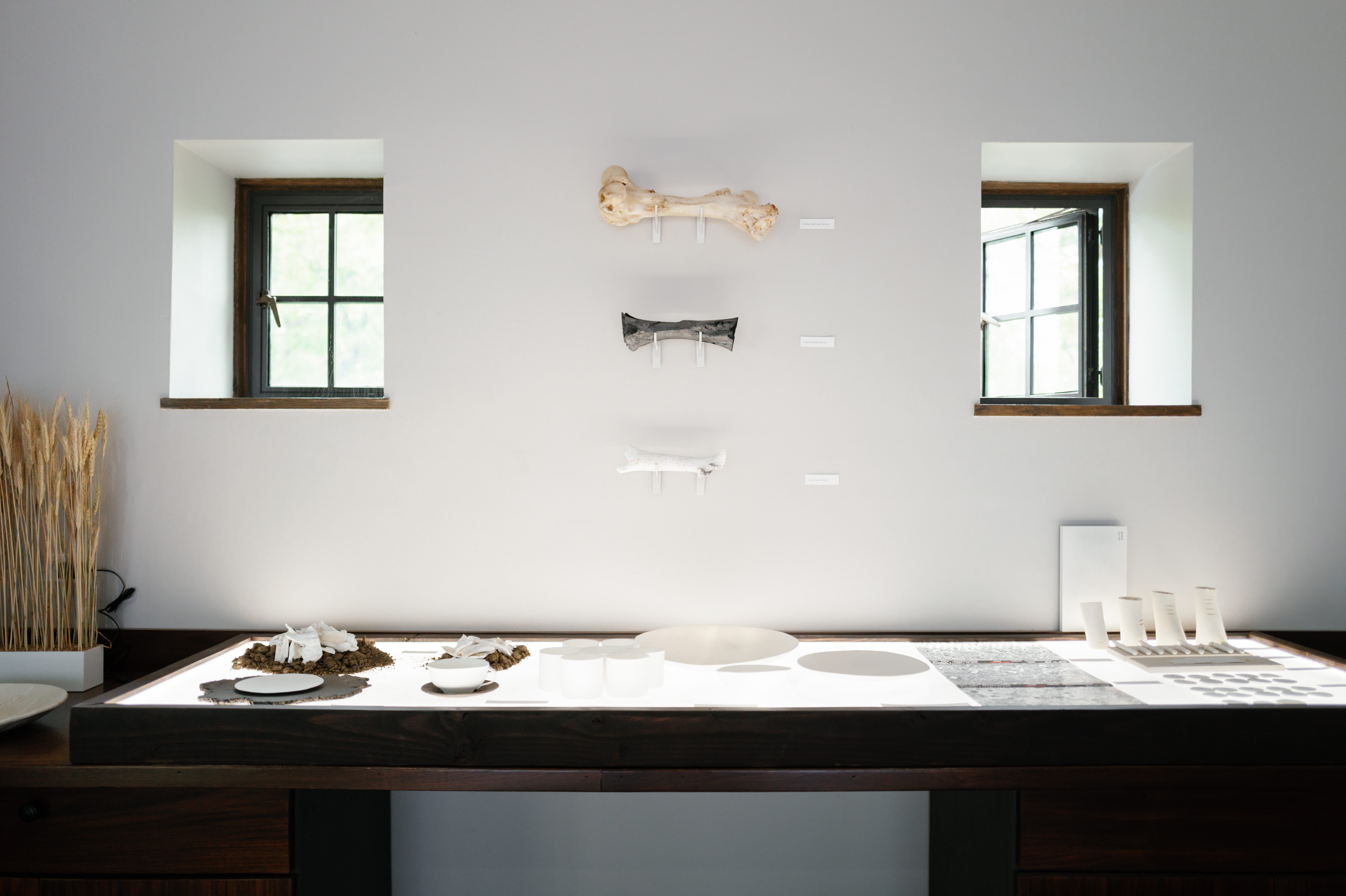 An exhibit at Blue Hill showcases the processes behind Gregg Moore’s bone china.