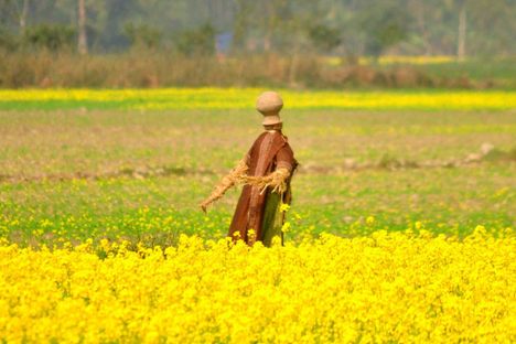 Scarecrow in Mayong
