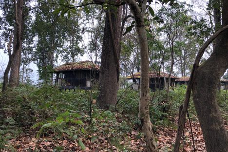 Ruins of the Temple Tiger Resort