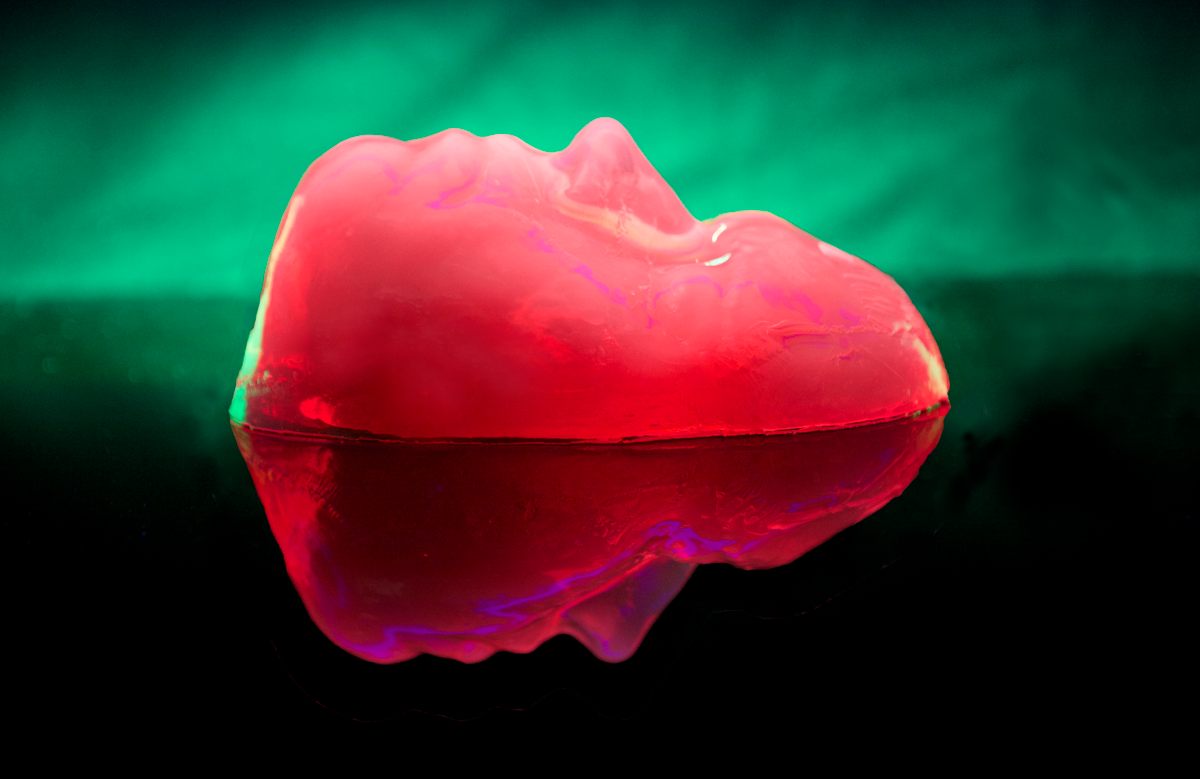 One of the molded jellies of the <em>Eat My Face</em> workshop.