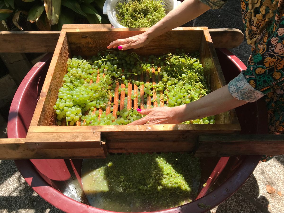 Laguna’s priority is promoting low-impact, traditional methods of farming through winemaking.