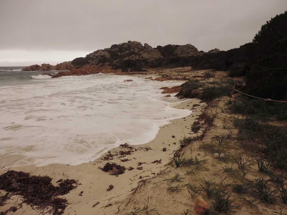 Evidence of erosion on Budelli.