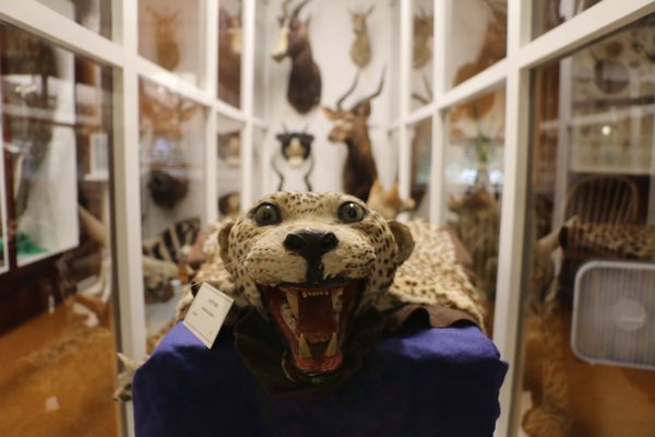The Pember Museum