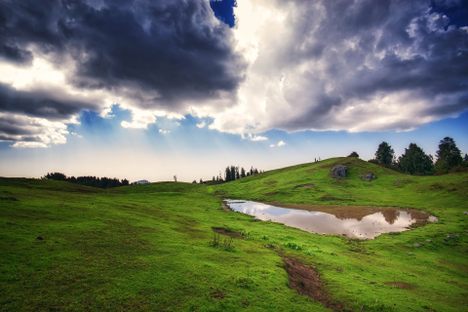 Mushkpuri Top hiking trail surrounded by pine forests in northern Pakistan.