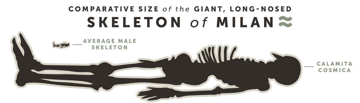 Comparative size of the giant long-nosed skeleton of Milan
