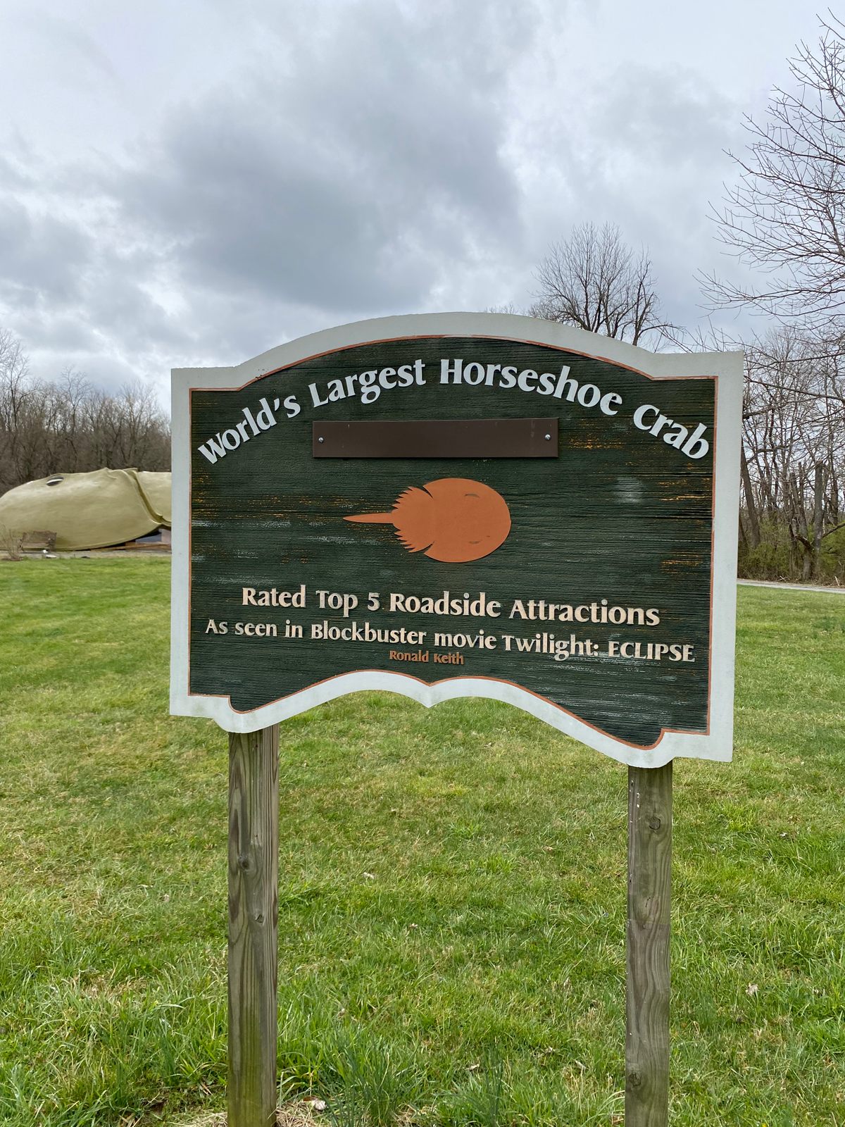 World's Largest Horseshoe Crab Hillsboro, Ohio Atlas Obscura