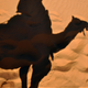 atcasa profile photo