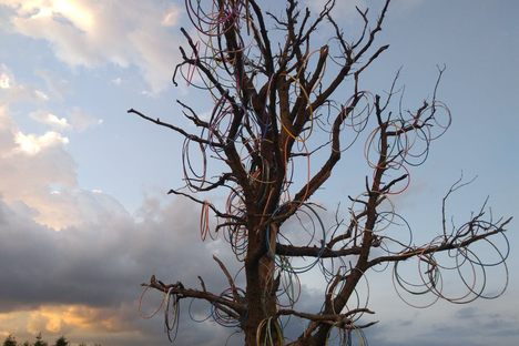 Hula Hoop Tree.