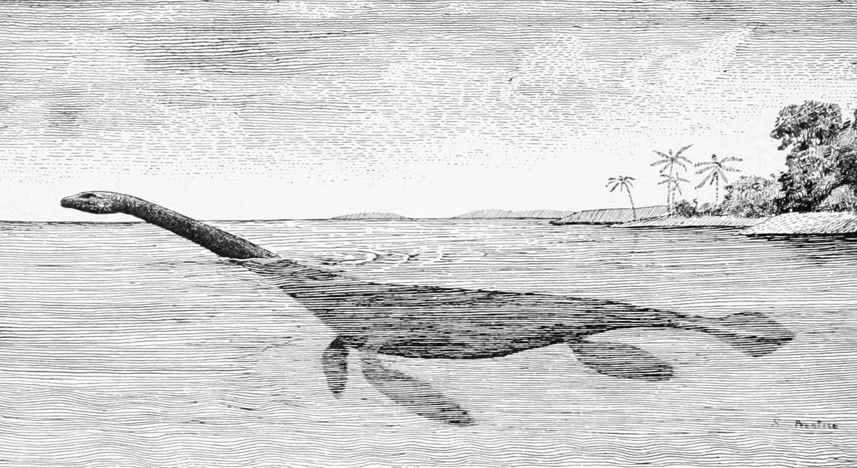 Mehling still recalls when one visitors brought in a plesiosaur vertebrae.