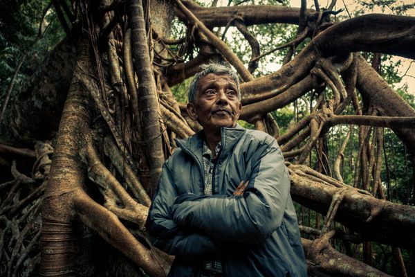 Hally War, a 68-year-old farmer from Siej village, learned the art of creating a jingkieng jri—as the living root bridges are locally known—from his grandfather.