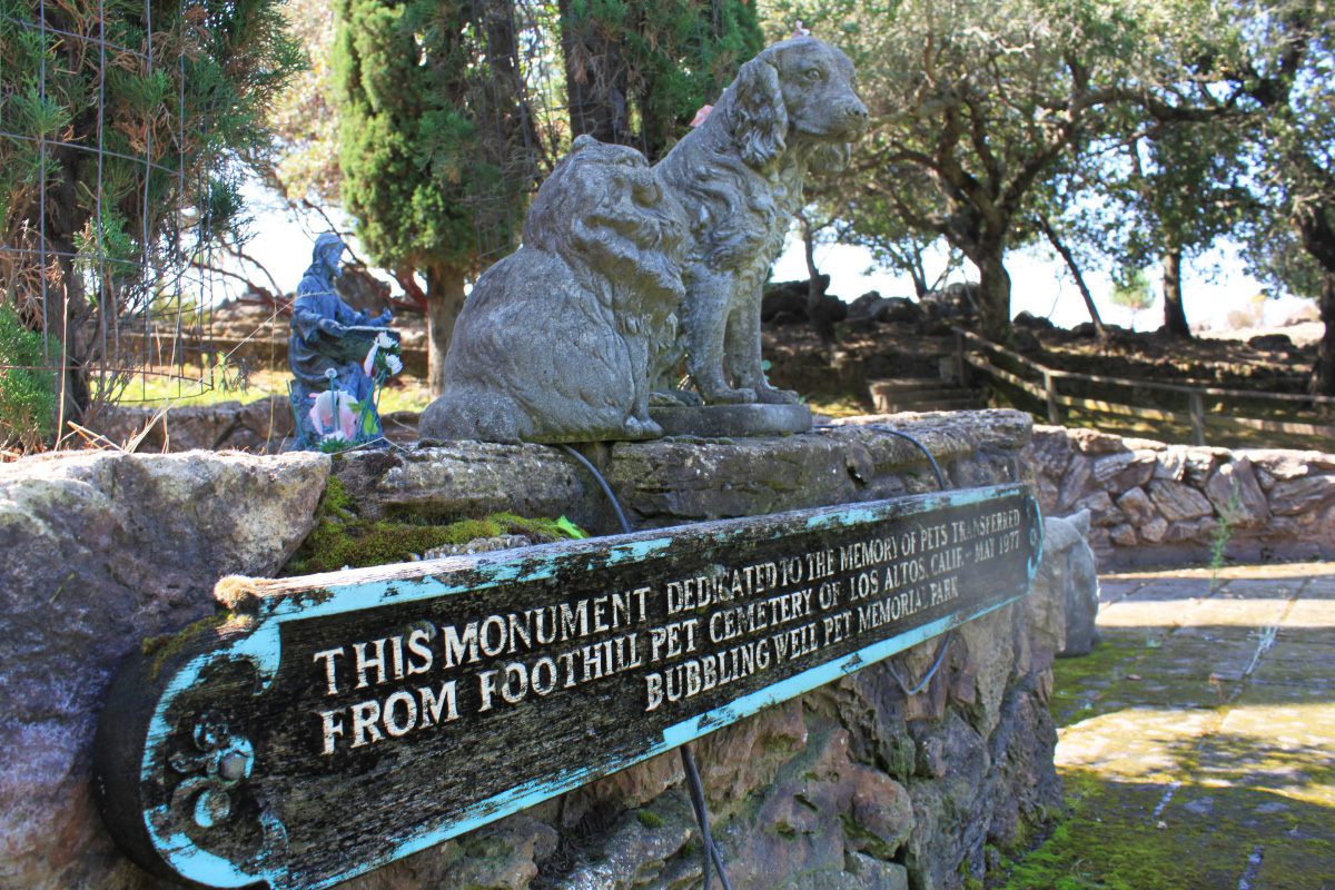 A monument at Bubbling Well commemorates the dogs and cats transferred from Foothill Pet Cemetery in 1977.