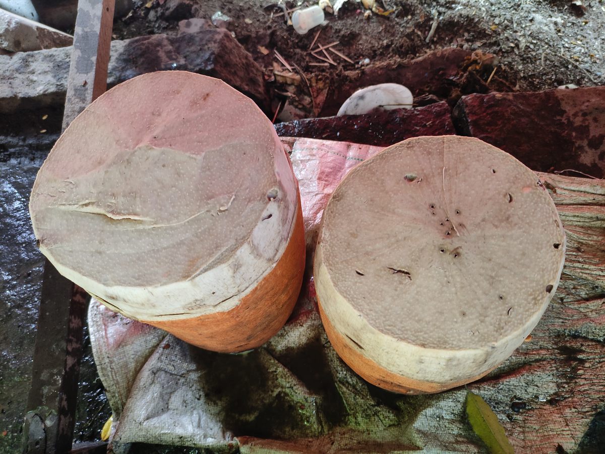 The vendors smear red coloring on the sides to preserve the white interior.