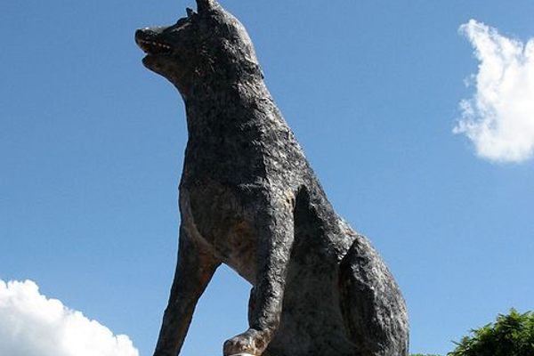 The Big Blue Heeler in Muswellbrook, New South Wales. (Wikimedia Commons)