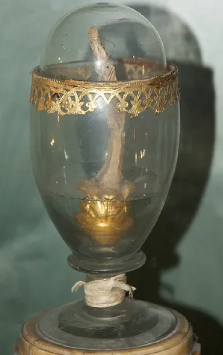According to the museum, the finger is part of “the celebration of Galileo as a hero and martyr of science.”