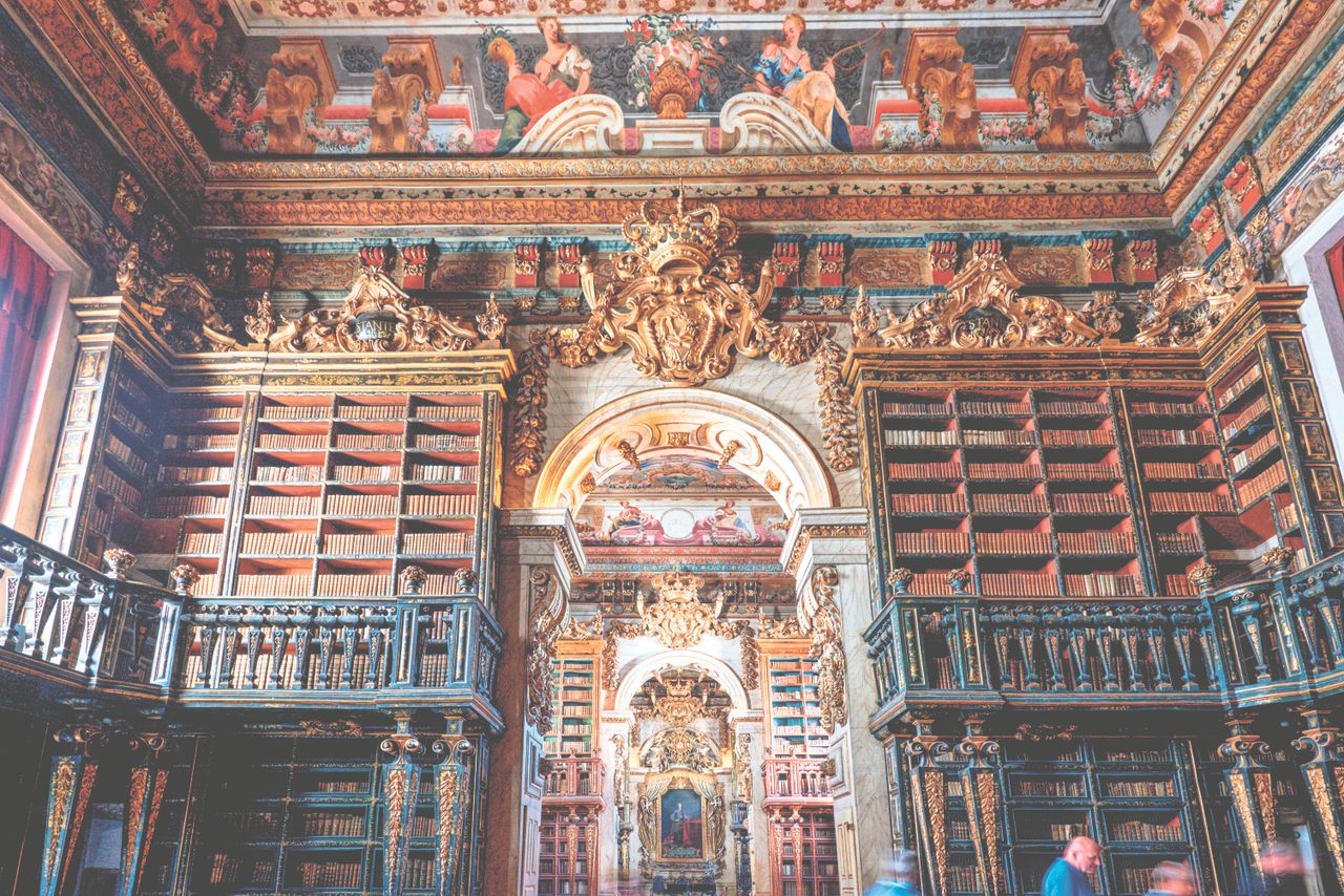 The tomes within the gorgeous library are kept safe by bat-led pest control.