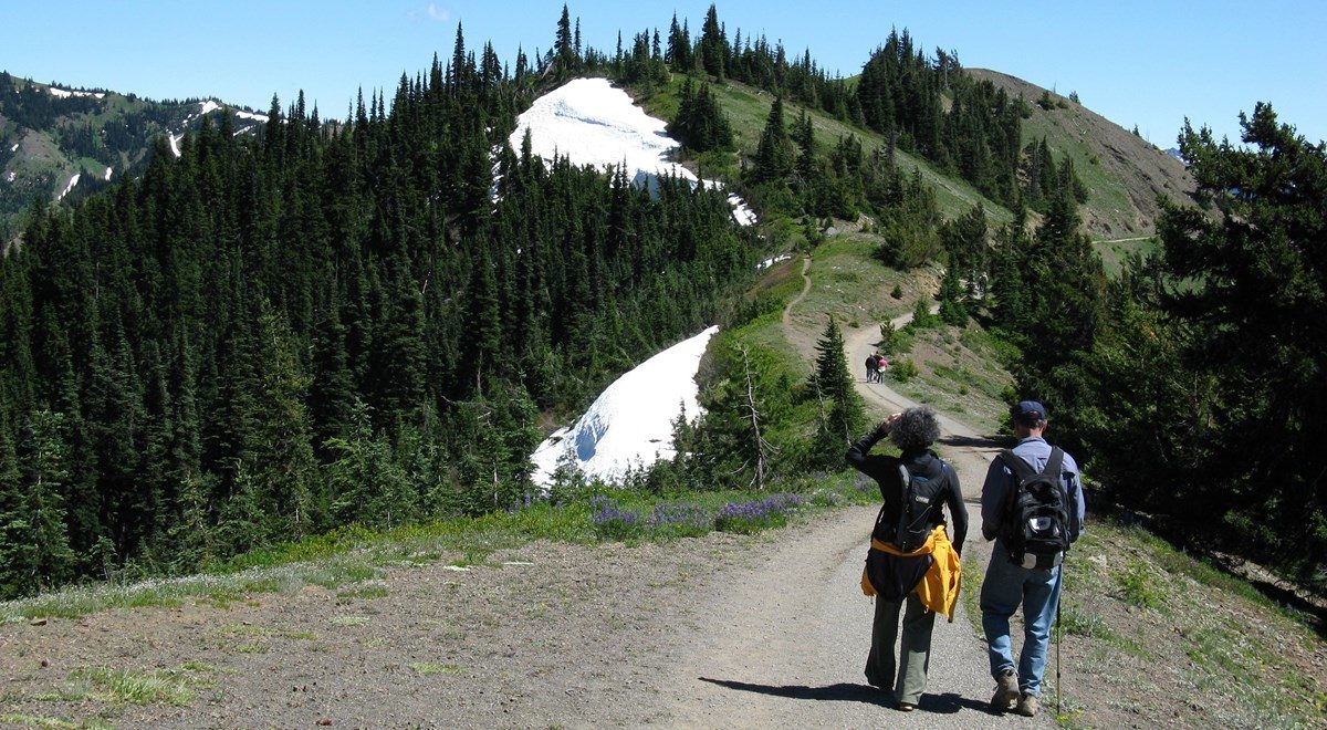 Hikers at Hurricane Hill, a place both goats and tourists love.