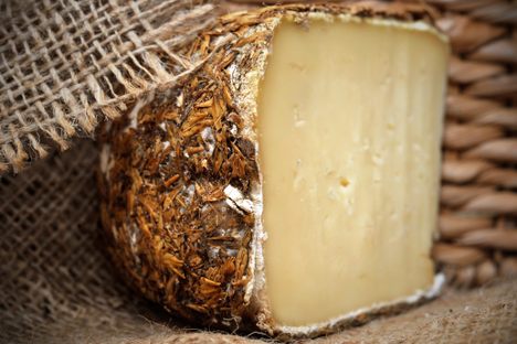 Sbirro Cheese