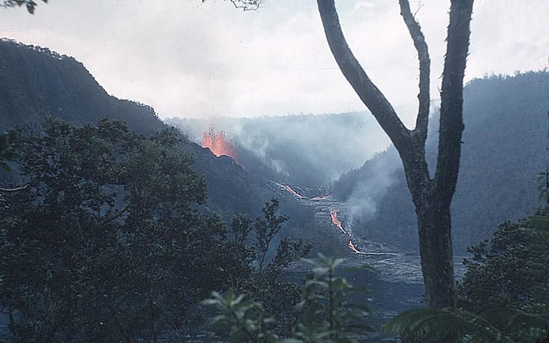 A snake of lava flows through the forest in 1959.