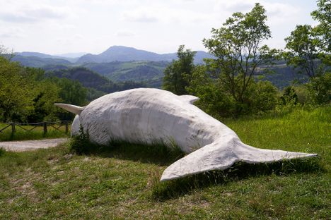 La Balena della Val di Zena