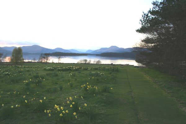 Ben Lomond and Loch Lomond as seen from the grounds of Ross Priory. (Margaret MacGillivray/Atlas Obscura)