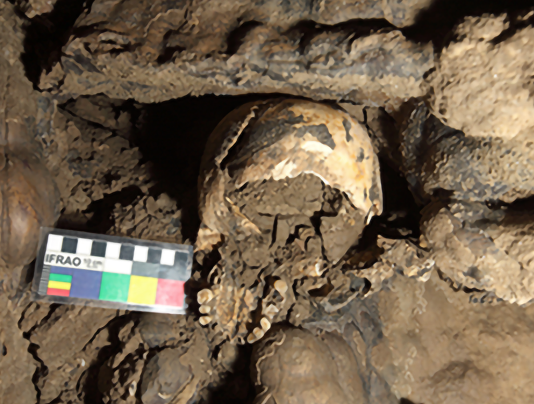 A Skull Bone Discovered in Greece May Alter the Story of Human Prehistory -  The New York Times