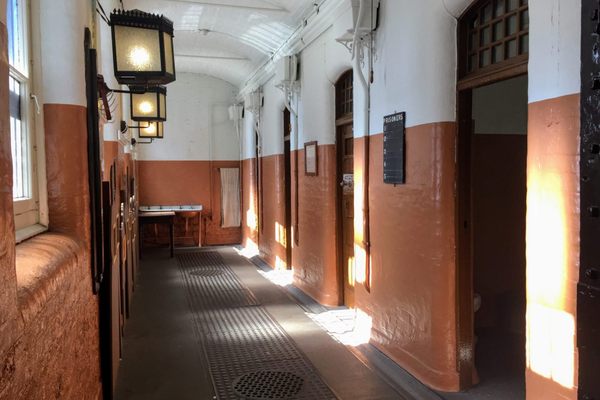 The Cells