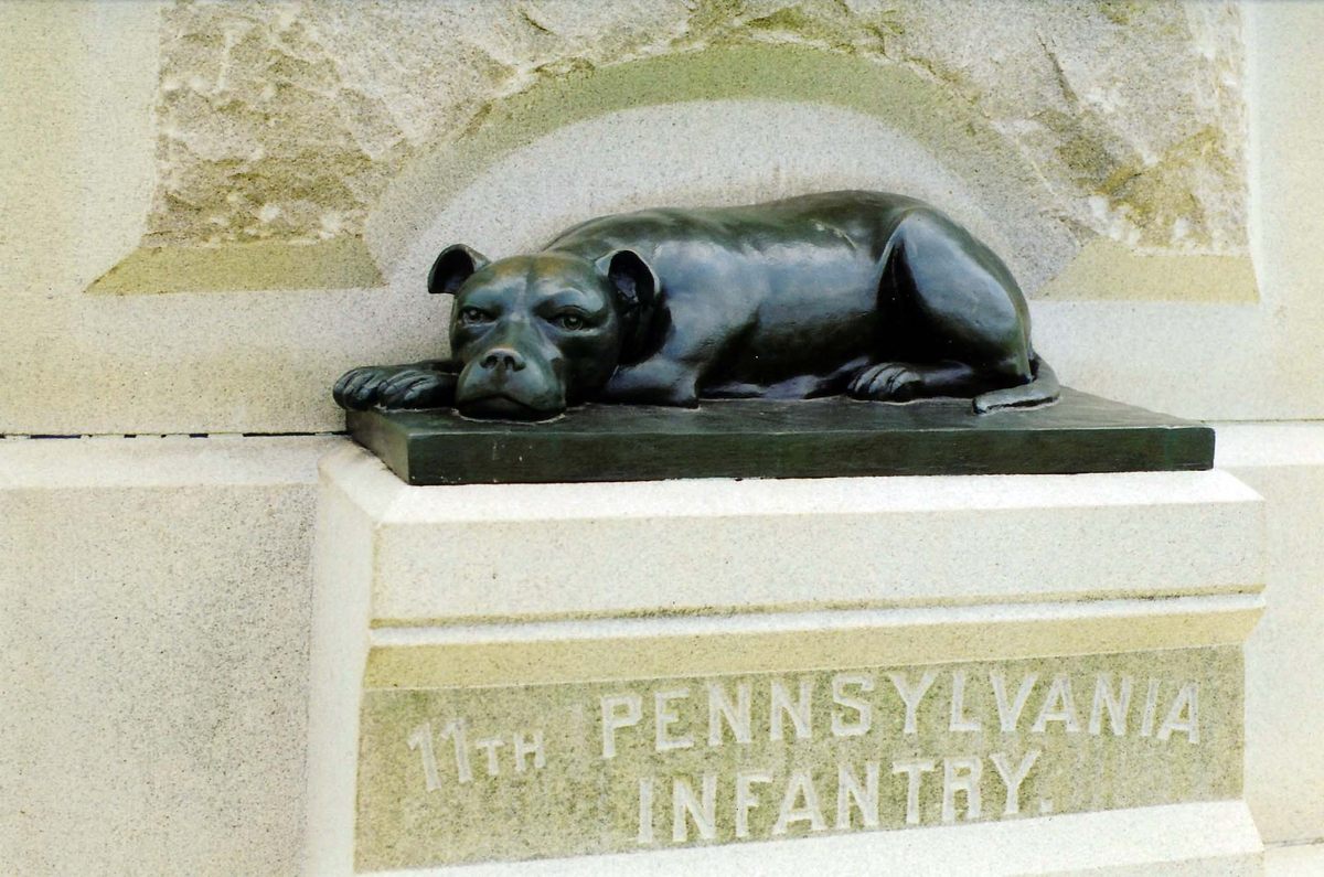 The 11th Pennsylvania Volunteer Infantry Monument in Gettysburg, Pennsylvania features a bronze American Staffordshire Terrier. The likeness is of Sallie Ann Jarrett, a beloved canine who accompanied Union troops on the battlefield.