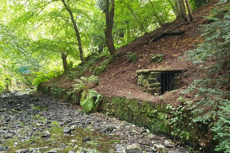 Dunfermline's Wallace Well