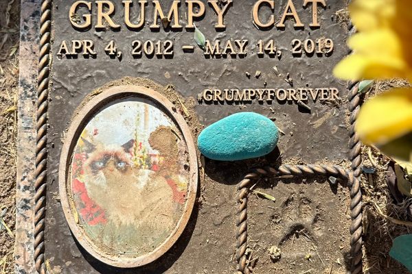 Grumpy Cat’s headstone.