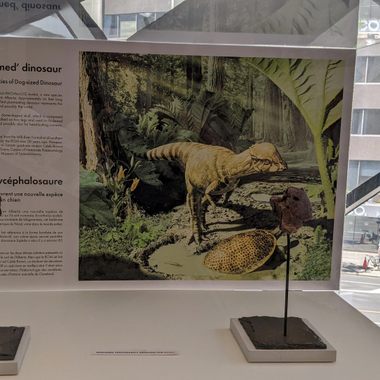 The display case with info.