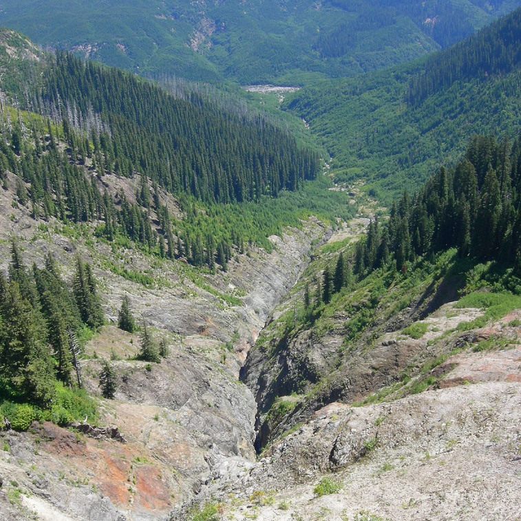 Bigfoot: The Pacific Northwest's Claim to Cryptid Fame