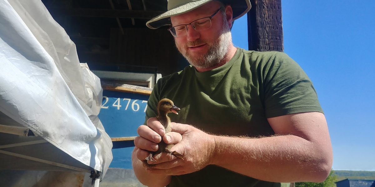 "I just love being around ducks,” Andrus says.
