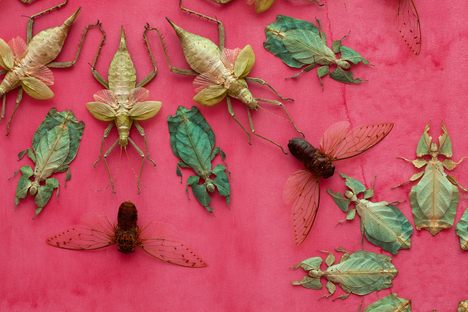The Artist Who Makes Bug Infestations Beautiful