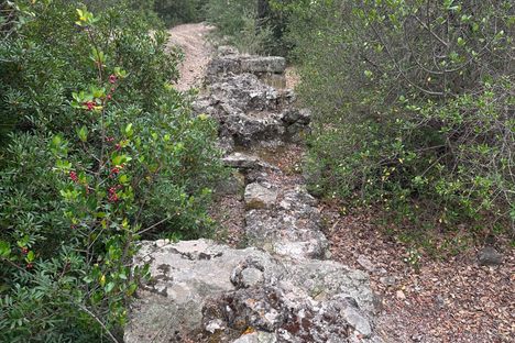 Roman Aqueduct of Olbia