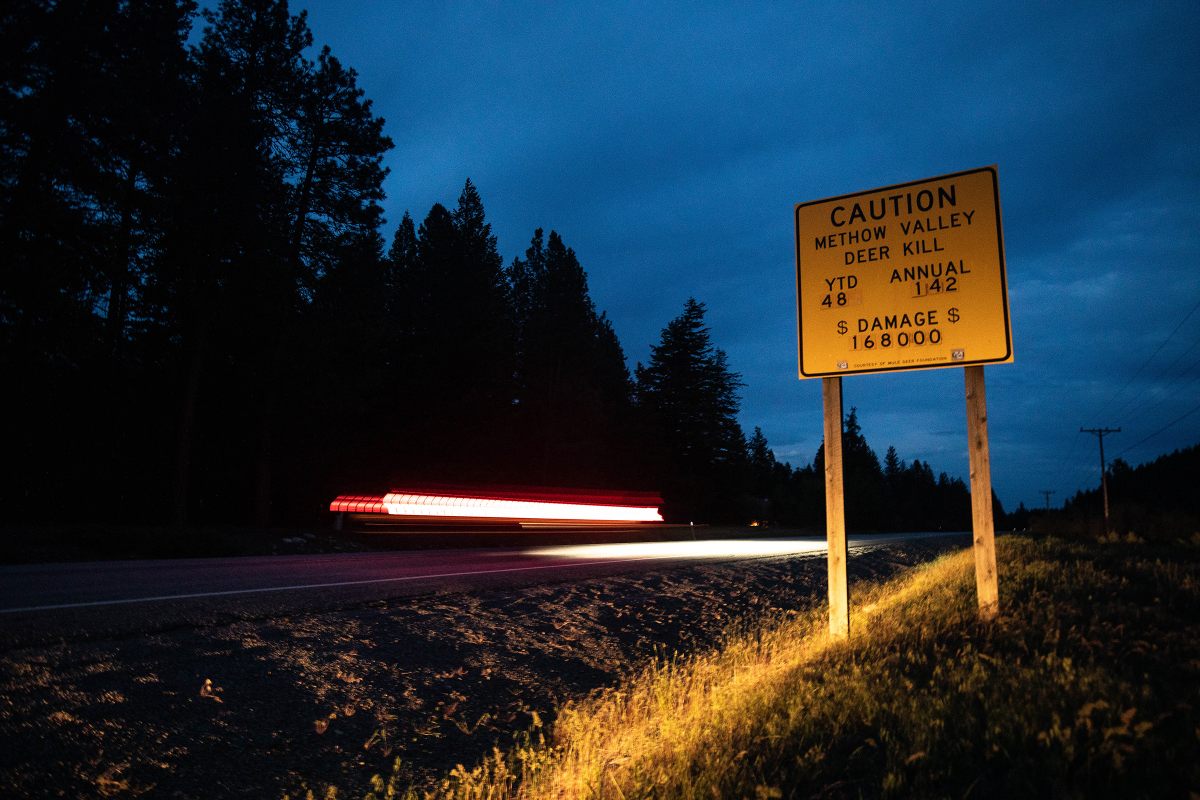 Drivers cruise past a road sign warning of the toll car strikes have on both deer and people.