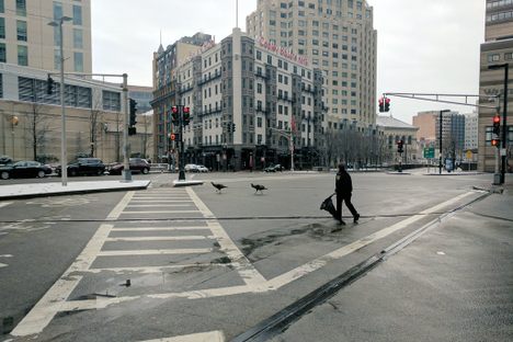 Urban Turkeys Are Wreaking Havoc in Boston