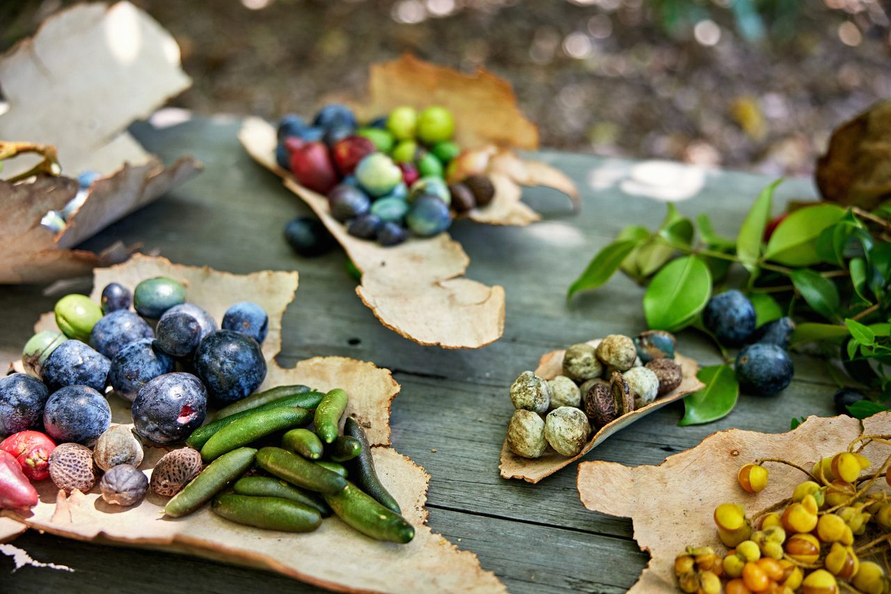 Edible "bush tucker," including Davidson’s plums, native tamarind, and rose apples.