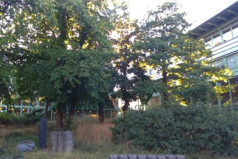  Stockholm University Arboretum