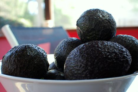 There's a Crime Wave in New Zealand Because of Avocado Shortages