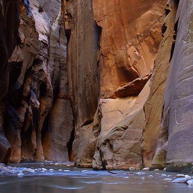The "Wall Street" section of Zion Narrows in Zion National Park