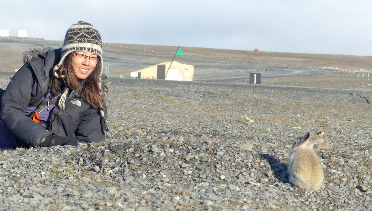 Wildlife biologist Sandra Lai and a young Arctic hare study each other near the Alert base.