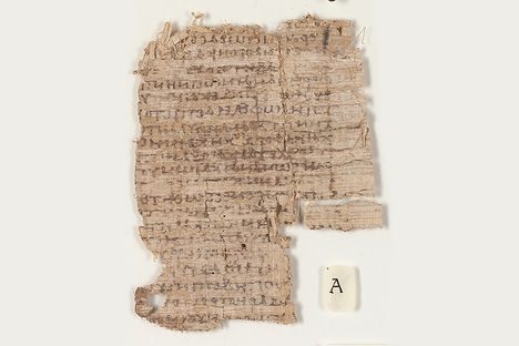 The papyrus before conservation.