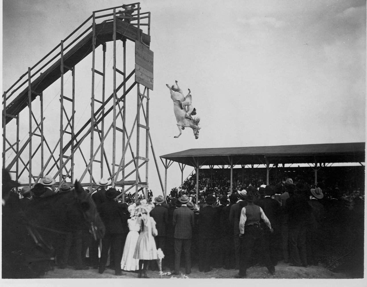 Eunice Winkless diving at the Steel Pier.