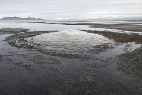 As the mirabilite accumulates, it forms crystallized terraces on the lakefront.
