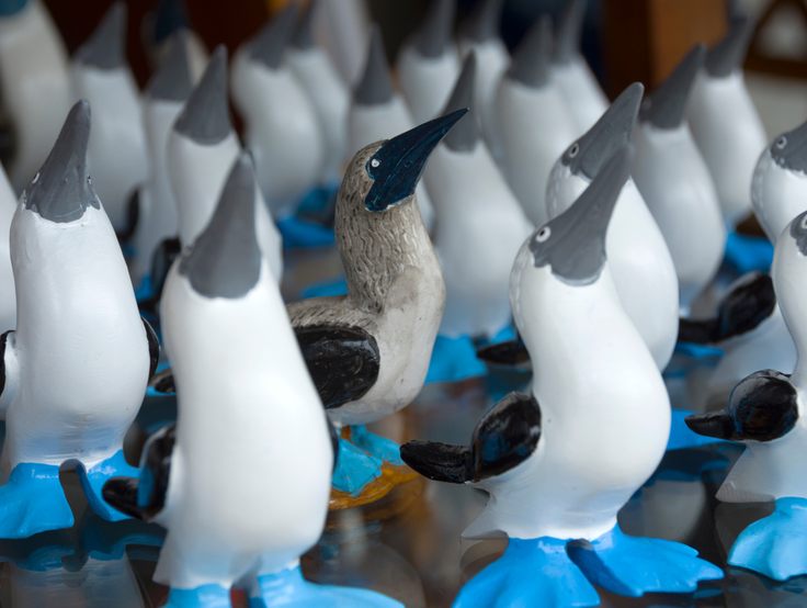 Handicrafts, artisanal souvenirs (small figures of the blue-footed booby ) from the Galapagos Islands.