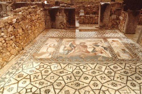 Volubilis - Maison de Vénus