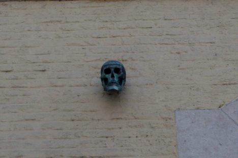 Smedenpoort Skull
