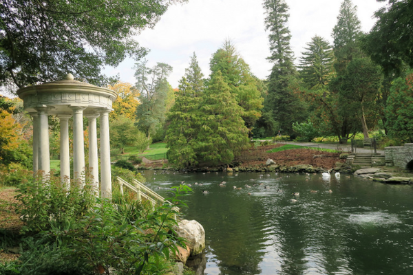 Swan Pond.