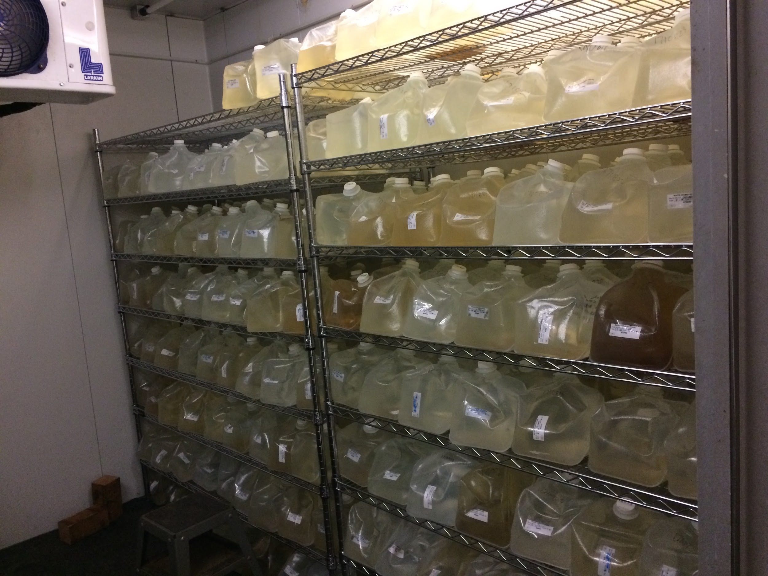 Samples from the country's variously-colored lakes, stored in clear jugs.